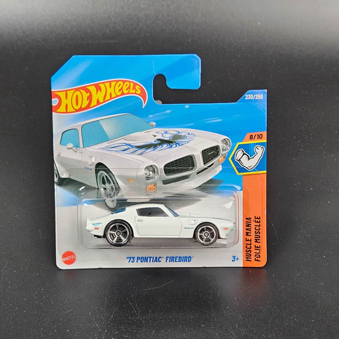 '73 Pontiac Firebird Hot Wheels - model 1:64