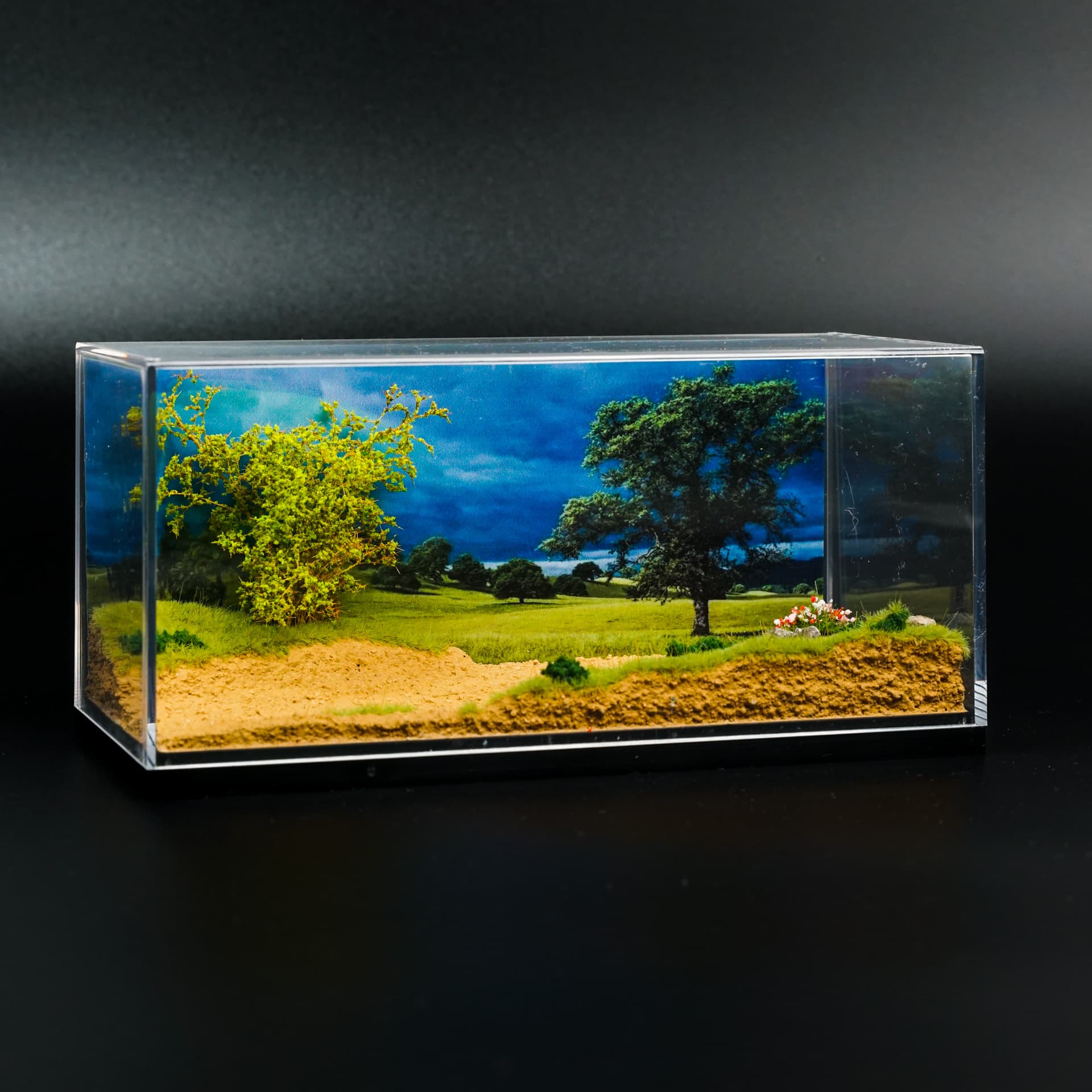 Diorama Sawanna Inny - model 1:64 - miniatura 1
